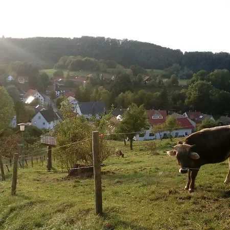 Daire Gemuetliche In - Tor Zum Allgaeu *